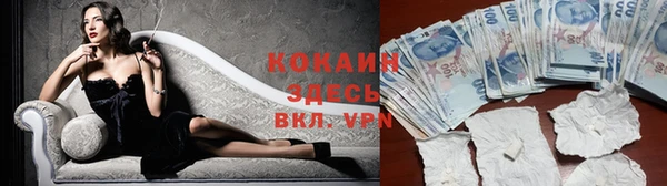 прущие крисы Алзамай