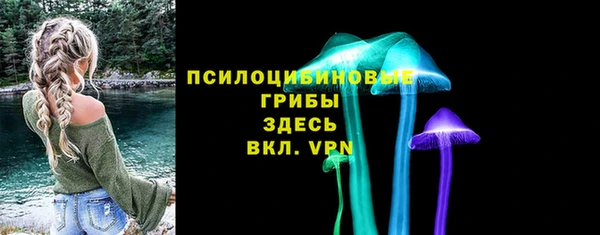ПСИЛОЦИБИНОВЫЕ ГРИБЫ Алексин