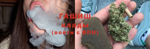 ПСИЛОЦИБИНОВЫЕ ГРИБЫ Алексин