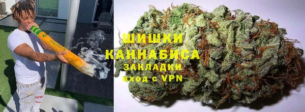 ПСИЛОЦИБИНОВЫЕ ГРИБЫ Алексин