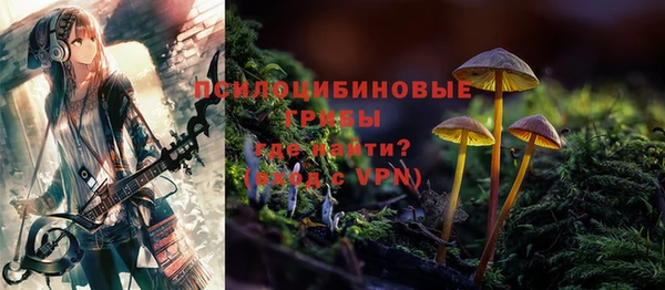 прущие крисы Алзамай
