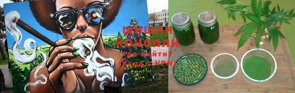 ПСИЛОЦИБИНОВЫЕ ГРИБЫ Алексин