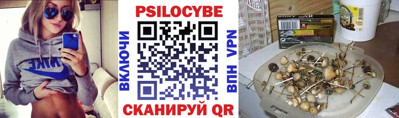 где можно купить наркотик  Мантурово  Галлюциногенные грибы Psilocybe 
